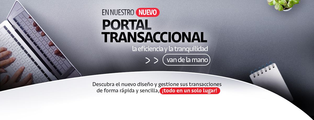 Quiero conocerlos