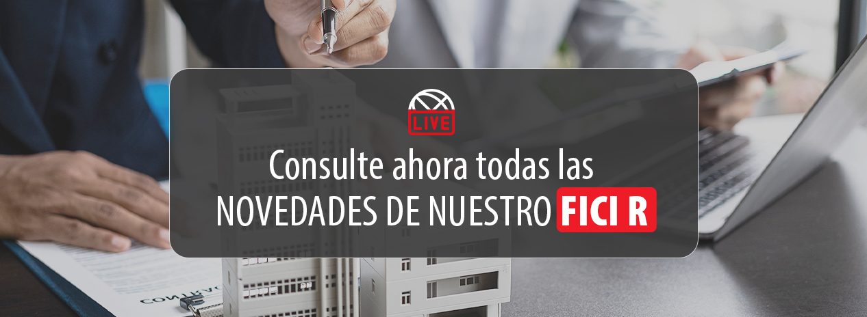 Ver Informe